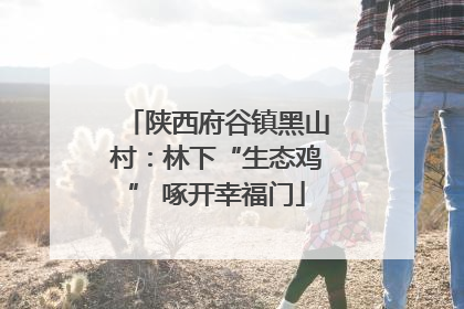 陕西府谷镇黑山村：林下“生态鸡” 啄开幸福门