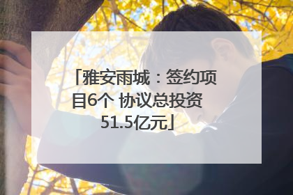 雅安雨城：签约项目6个 协议总投资51.5亿元