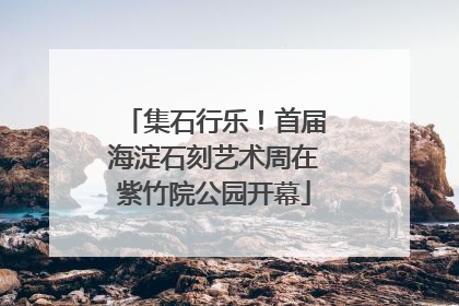 集石行乐！首届海淀石刻艺术周在紫竹院公园开幕
