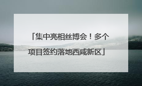 集中亮相丝博会！多个项目签约落地西咸新区