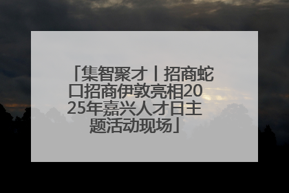 集智聚才丨招商蛇口招商伊敦亮相2025年嘉兴人才日主题活动现场