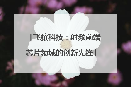 飞骧科技：射频前端芯片领域的创新先锋