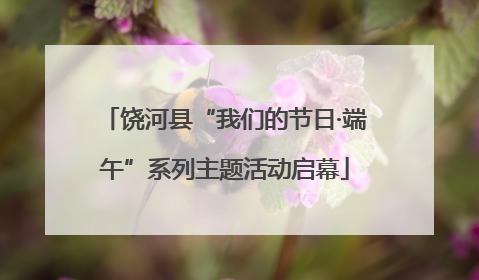 饶河县“我们的节日·端午”系列主题活动启幕