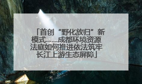 首创“野化放归”新模式……成都环境资源法庭如何推进依法筑牢长江上游生态屏障