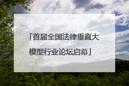 首届全国法律垂直大模型行业论坛启幕