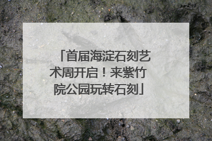 首届海淀石刻艺术周开启！来紫竹院公园玩转石刻