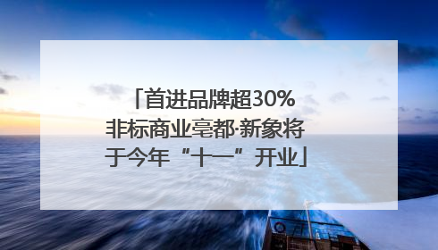 首进品牌超30% 非标商业亳都·新象将于今年“十一”开业