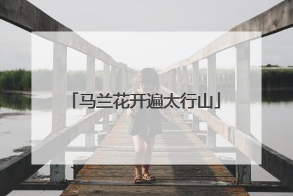 马兰花开遍太行山