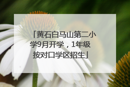 黄石白马山第二小学9月开学，1年级按对口学区招生