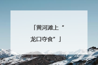 黄河滩上“龙口夺食”