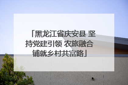 黑龙江省庆安县 坚持党建引领 农旅融合铺就乡村共富路