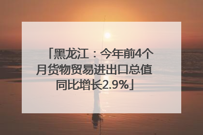 黑龙江：今年前4个月货物贸易进出口总值同比增长2.9%