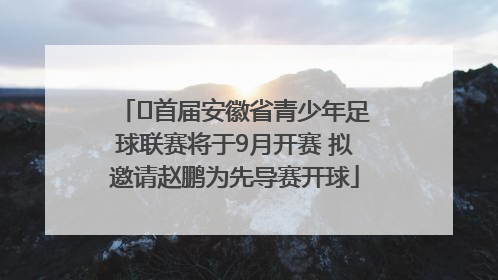 ﻿首届安徽省青少年足球联赛将于9月开赛 拟邀请赵鹏为先导赛开球