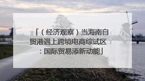 （经济观察）当海南自贸港遇上跨境电商综试区：国际贸易添新动能