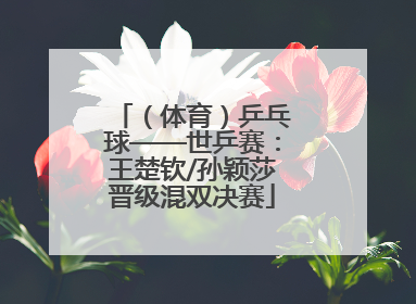 （体育）乒乓球——世乒赛：王楚钦/孙颖莎晋级混双决赛