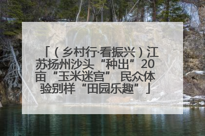 （乡村行·看振兴）江苏扬州沙头“种出”20亩“玉米迷宫” 民众体验别样“田园乐趣”