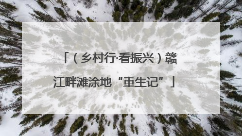 （乡村行·看振兴）赣江畔滩涂地“重生记”