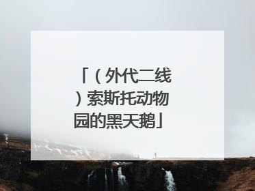 （外代二线）索斯托动物园的黑天鹅