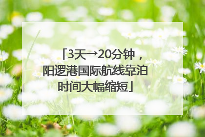 3天→20分钟，阳逻港国际航线靠泊时间大幅缩短