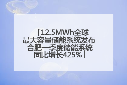12.5MWh全球最大容量储能系统发布 合肥一季度储能系统同比增长425%
