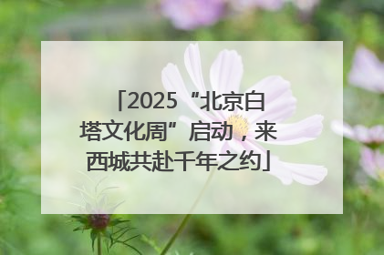 2025“北京白塔文化周”启动，来西城共赴千年之约