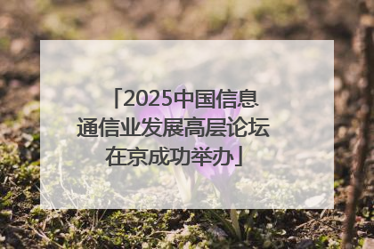 2025中国信息通信业发展高层论坛在京成功举办