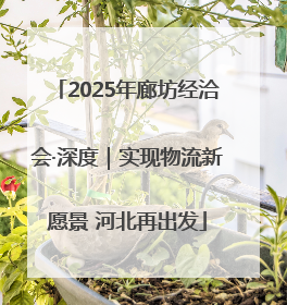 2025年廊坊经洽会·深度｜实现物流新愿景 河北再出发