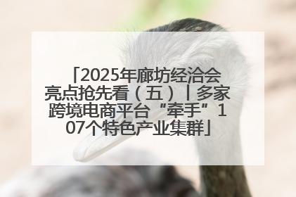 2025年廊坊经洽会亮点抢先看（五）丨多家跨境电商平台“牵手”107个特色产业集群