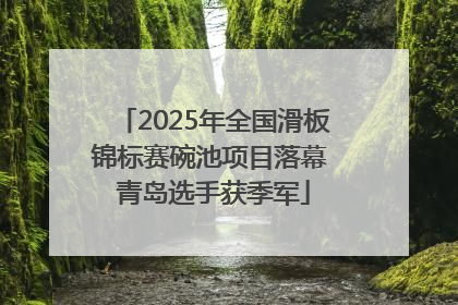 2025年全国滑板锦标赛碗池项目落幕 青岛选手获季军