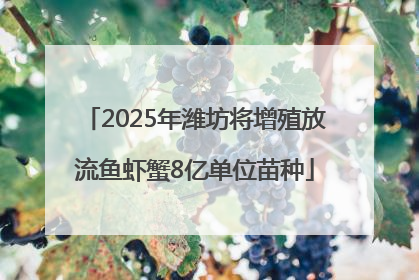 2025年潍坊将增殖放流鱼虾蟹8亿单位苗种
