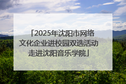2025年沈阳市网络文化企业进校园双选活动走进沈阳音乐学院