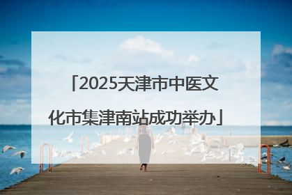 2025天津市中医文化市集津南站成功举办