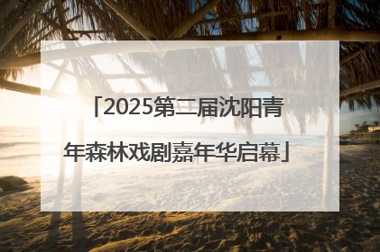 2025第二届沈阳青年森林戏剧嘉年华启幕