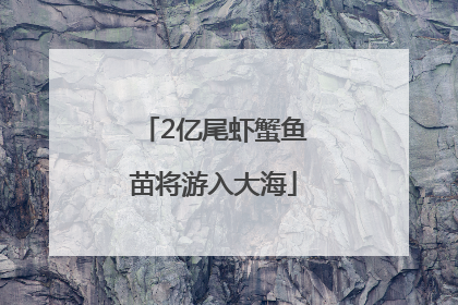 2亿尾虾蟹鱼苗将游入大海