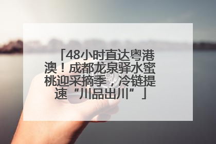48小时直达粤港澳！成都龙泉驿水蜜桃迎采摘季，冷链提速“川品出川”