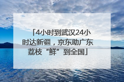 4小时到武汉24小时达新疆，京东助广东荔枝“鲜”到全国