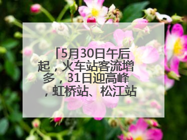 5月30日午后起，火车站客流增多，31日迎高峰，虹桥站、松江站有儿童节和端午亲子活动