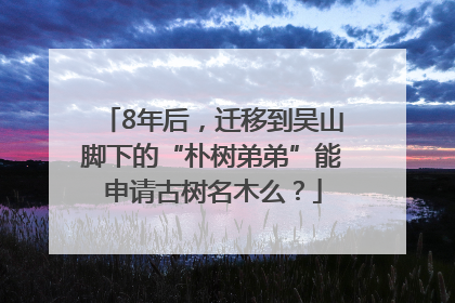 8年后，迁移到吴山脚下的“朴树弟弟”能申请古树名木么？