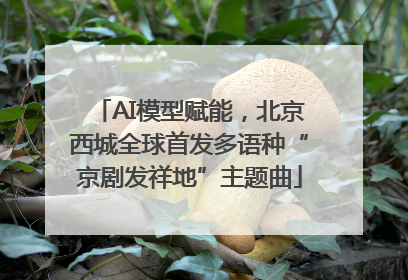 AI模型赋能，北京西城全球首发多语种“京剧发祥地”主题曲